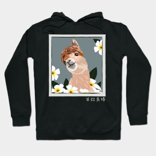 Vicuna Guanaco Llama Breeder Alpaca Hoodie